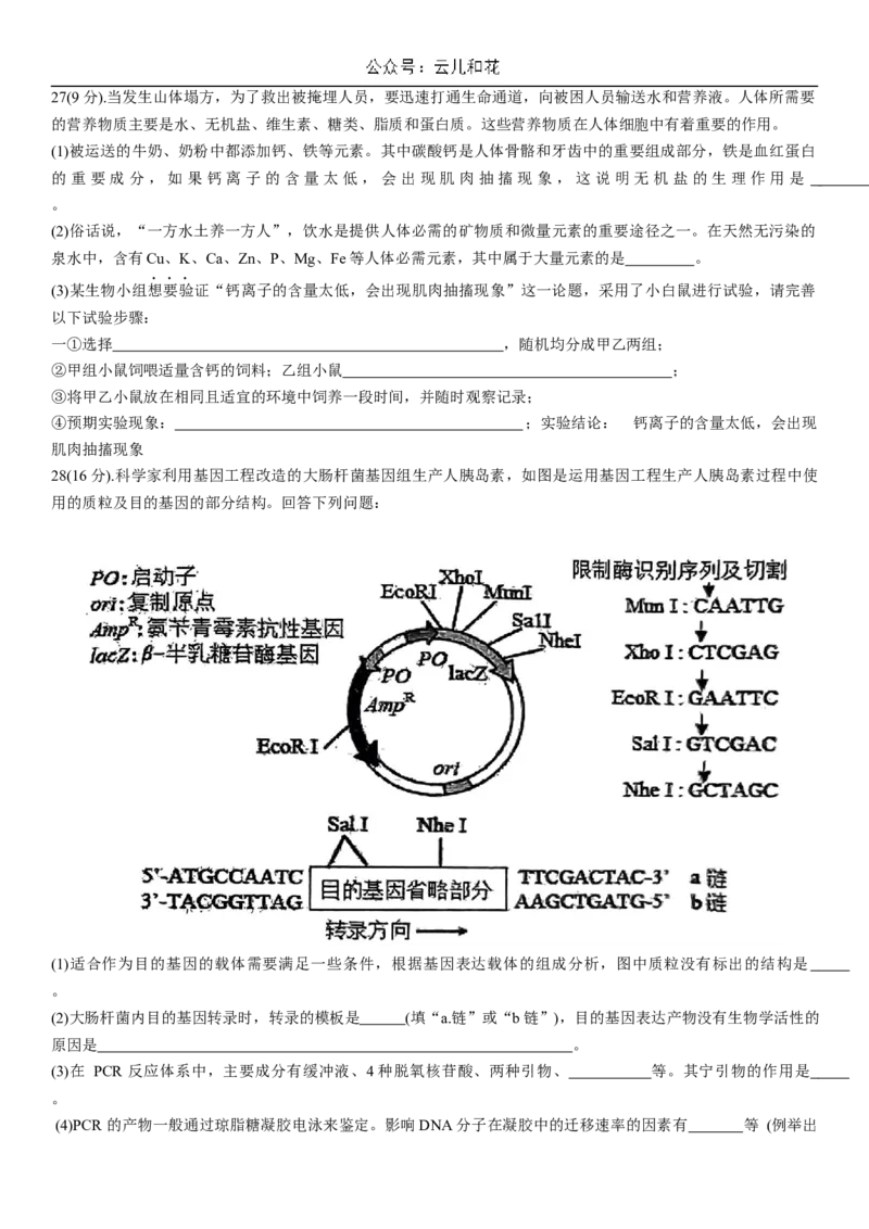 河北省衡水市第二中学2023-2024学年高二下学期6月期末考试生物Word版含解析_2024-2025高二（7-7月题库）_2024年07月试卷_0701河北省衡水市第二中学2023-2024学年高二下学期6月期末考试