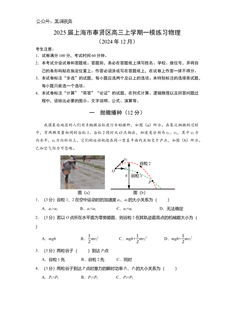 上海市奉贤区2024-2025学年高三上学期一模练习物理试题（含答案）_2024-2025高三（6-6月题库）_2024年12月试卷_1217上海市奉贤区2025届高三上学期一模