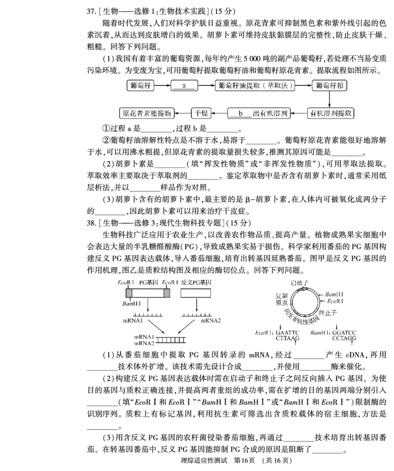 理综_2024年2月_01每日更新_12号_2023届河南省普通高中毕业班高考适应性考试全科_2023届河南省普通高中毕业班高考适应性考试理综试卷