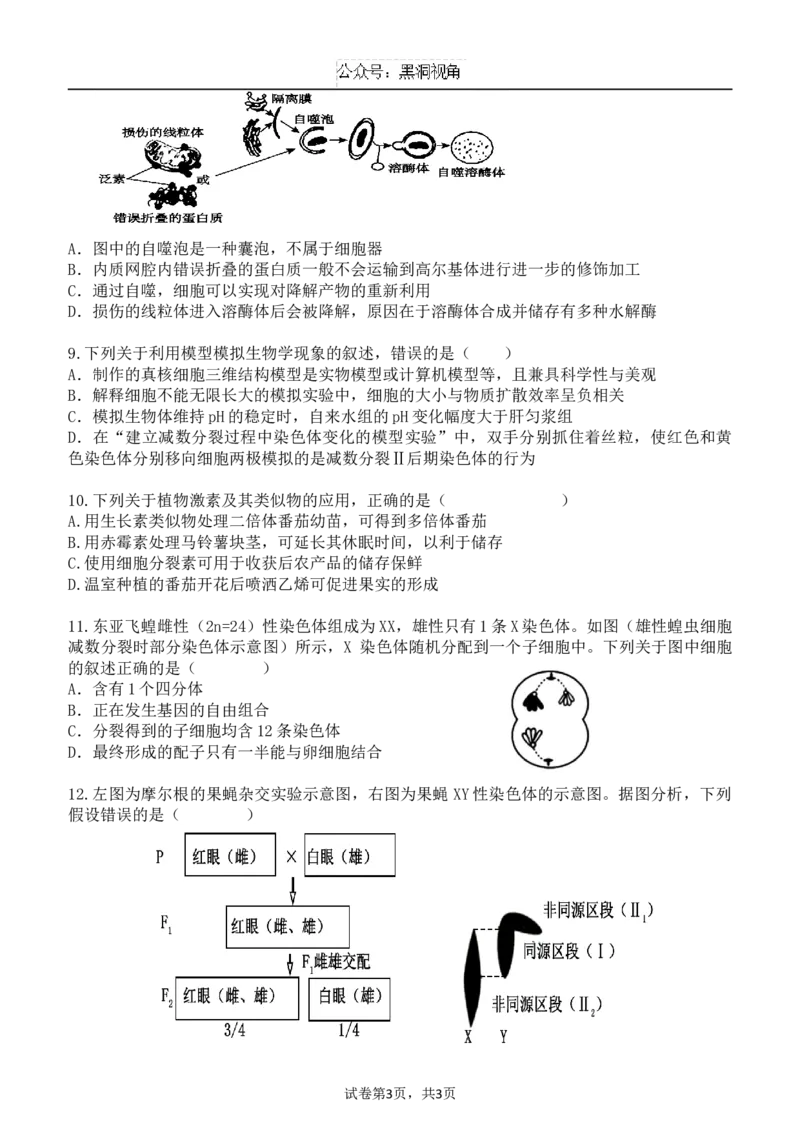 广东省东莞市七校联考2024-2025学年高三上学期12月月考生物_2024-2025高三（6-6月题库）_2024年12月试卷_1220广东省东莞市七校联考2024-2025学年高三上学期12月月考试题