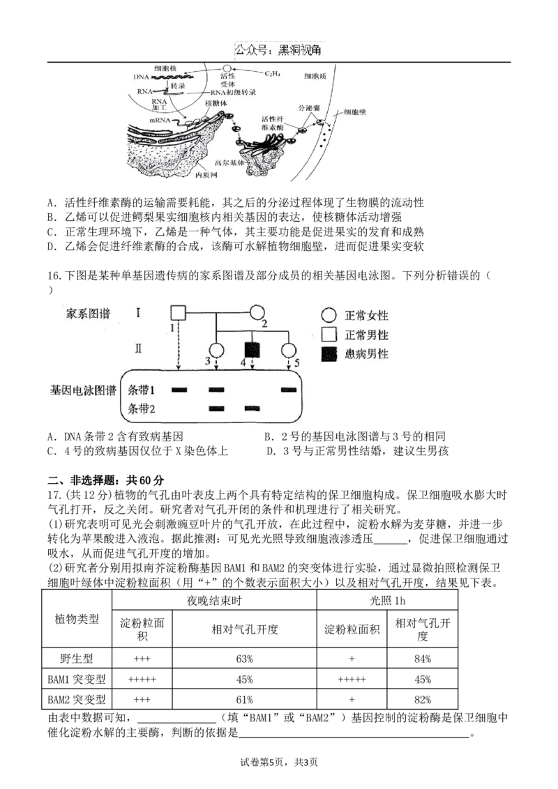 广东省东莞市七校联考2024-2025学年高三上学期12月月考生物_2024-2025高三（6-6月题库）_2024年12月试卷_1220广东省东莞市七校联考2024-2025学年高三上学期12月月考试题