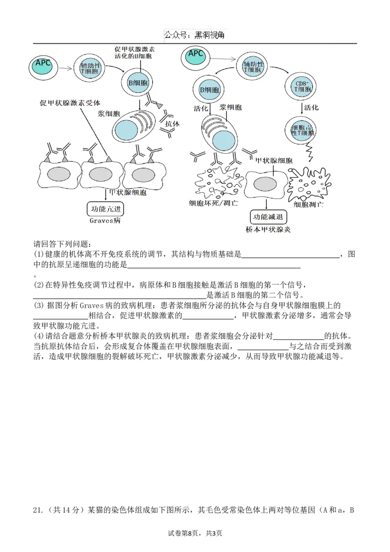 广东省东莞市七校联考2024-2025学年高三上学期12月月考生物_2024-2025高三（6-6月题库）_2024年12月试卷_1220广东省东莞市七校联考2024-2025学年高三上学期12月月考试题