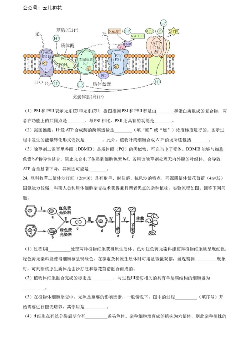 河南省新未来期末联考2023-2024学年高二下学期7月期末生物试题（原卷版）_2024-2025高二（7-7月题库）_2024年07月试卷_0707河南省金科新未来2024年7月高二期末质量检测试题及答案