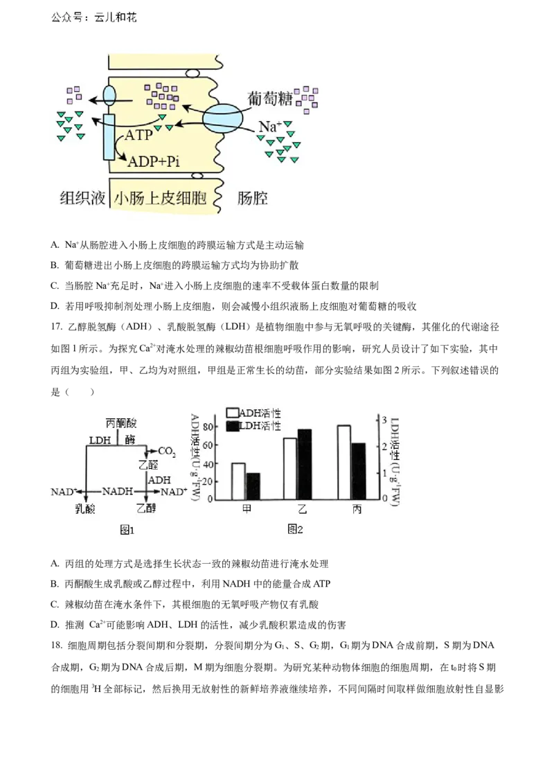 河南省新未来期末联考2023-2024学年高二下学期7月期末生物试题（原卷版）_2024-2025高二（7-7月题库）_2024年07月试卷_0707河南省金科新未来2024年7月高二期末质量检测试题及答案