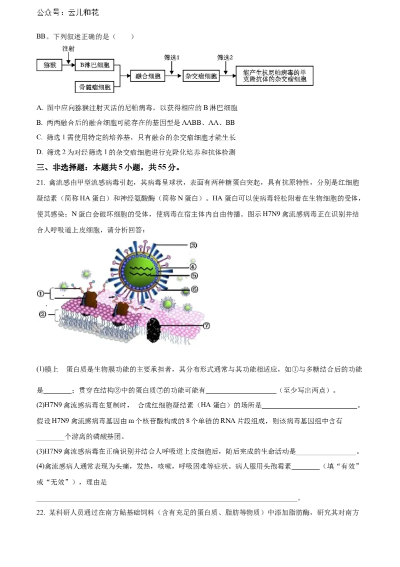 河南省新未来期末联考2023-2024学年高二下学期7月期末生物试题（原卷版）_2024-2025高二（7-7月题库）_2024年07月试卷_0707河南省金科新未来2024年7月高二期末质量检测试题及答案
