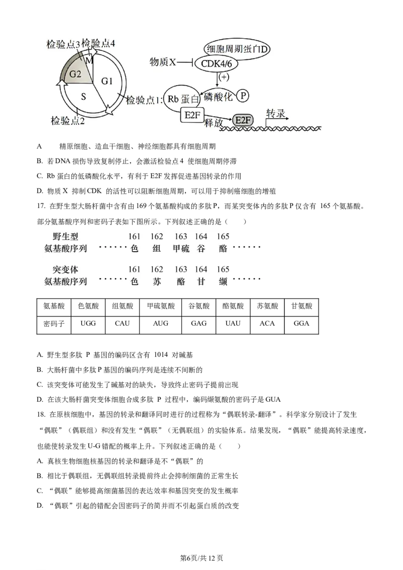 精品解析：江苏省无锡市2023-2024学年高三上学期期中教学质量调研测试生物试题（原卷版）(1)_2023年11月_0211月合集_2024届江苏省无锡市高三上学期期中教学质量调研测试