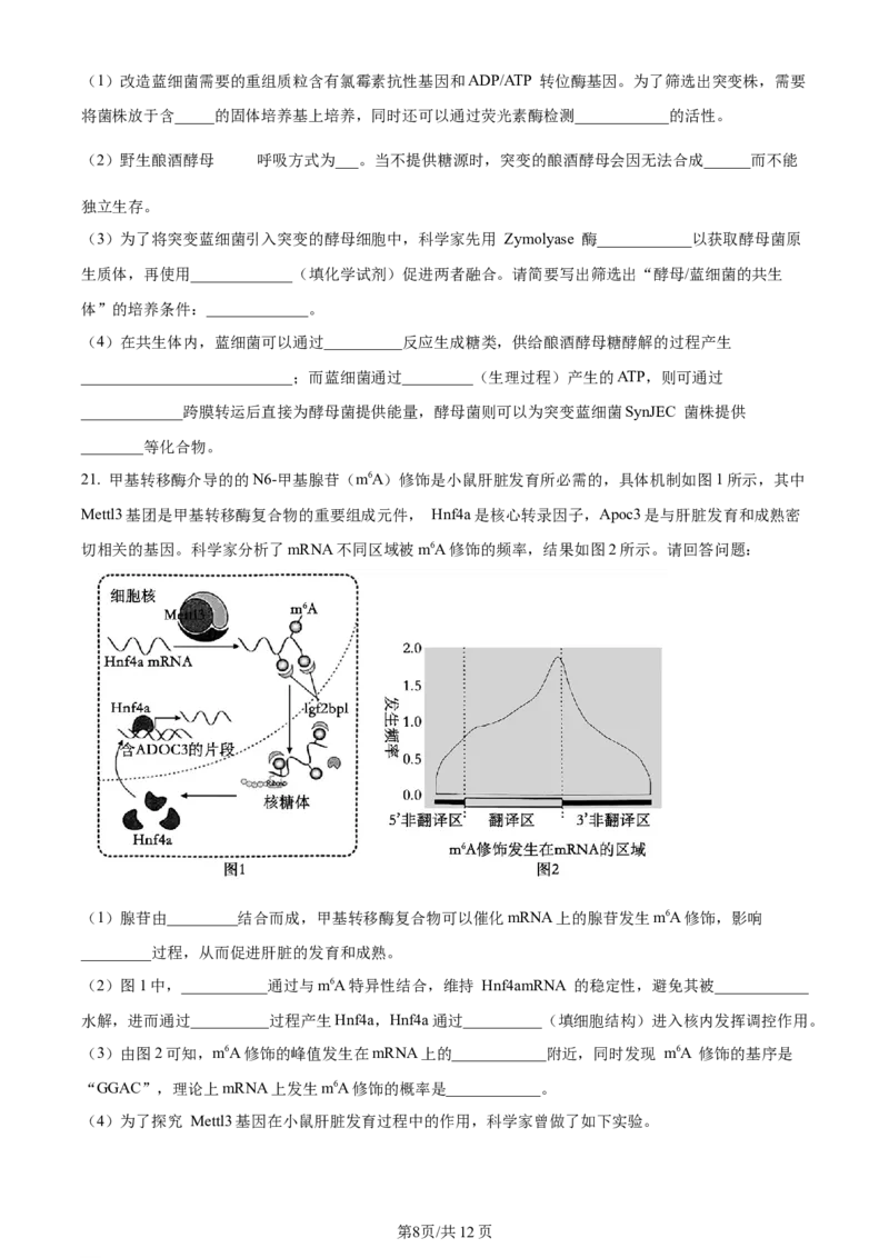 精品解析：江苏省无锡市2023-2024学年高三上学期期中教学质量调研测试生物试题（原卷版）(1)_2023年11月_0211月合集_2024届江苏省无锡市高三上学期期中教学质量调研测试