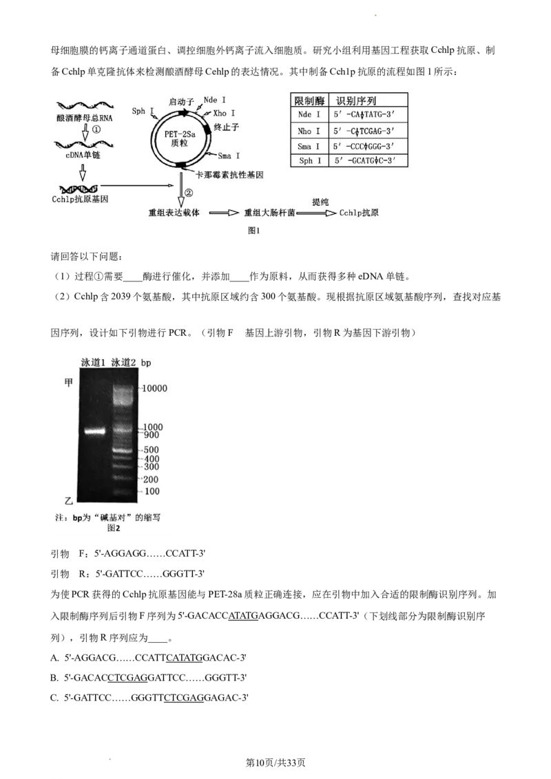 生物-福建省厦门市2024届高三下学期第二次质量检测(1)_2024年3月_013月合集_2024届福建省厦门市高三下学期第二次质量检测