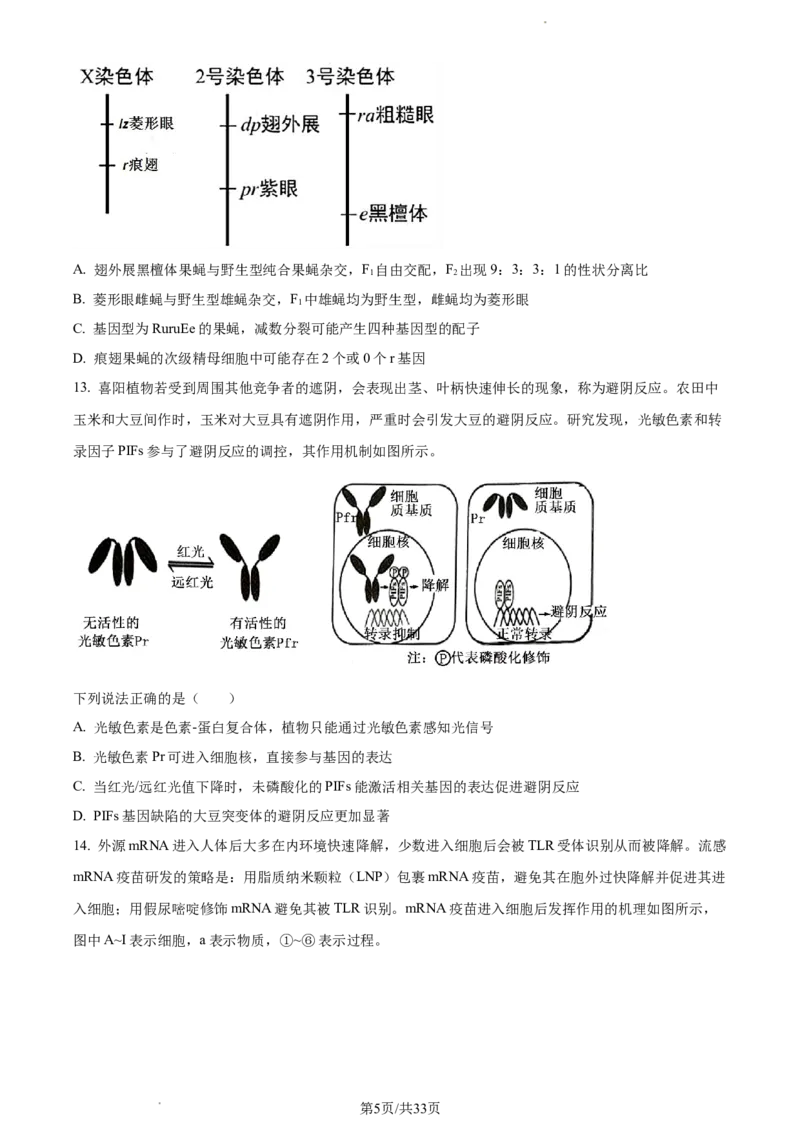 生物-福建省厦门市2024届高三下学期第二次质量检测(1)_2024年3月_013月合集_2024届福建省厦门市高三下学期第二次质量检测