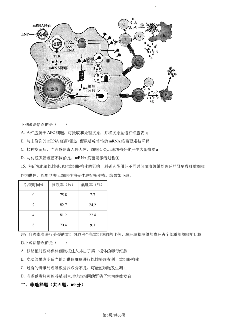 生物-福建省厦门市2024届高三下学期第二次质量检测(1)_2024年3月_013月合集_2024届福建省厦门市高三下学期第二次质量检测