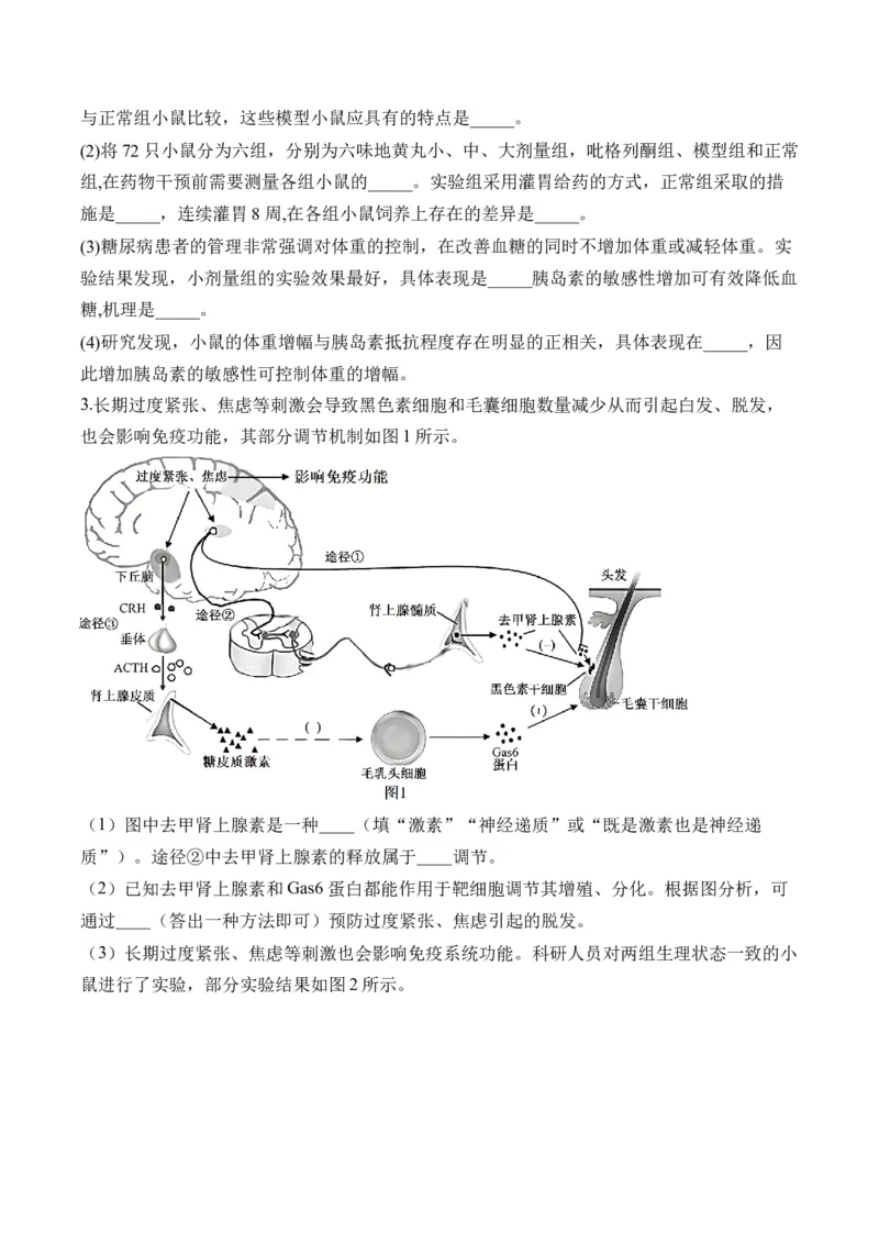 专题13实验与探究（非选择题）&mdash;&mdash;高考生物学模块分练新高考版（含解析）_2024-2025高三（6-6月题库）_2026年1月高三