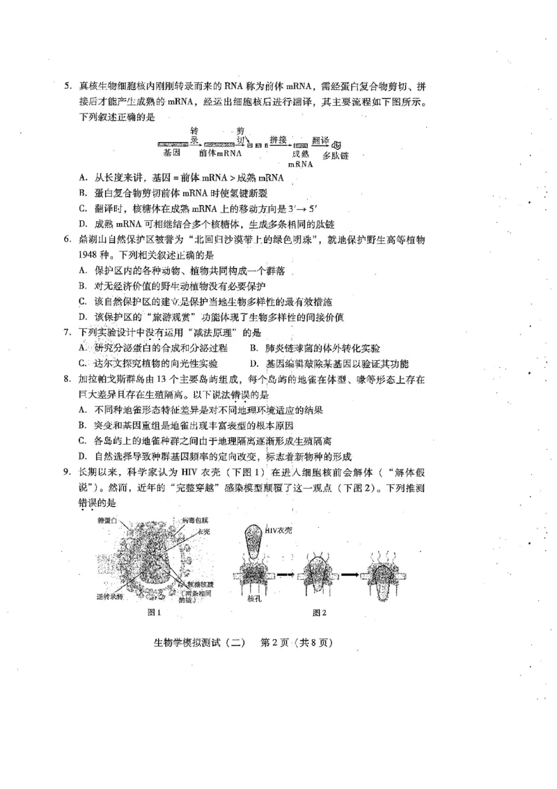 广东省2025年普通高等学校招生全国统一考试模拟测试生物_2024-2026高三（6-6月题库）_2025年04月试卷_0425广东省2025年普通高等学校招生全国统一考试模拟测试（广东二模）（全科）