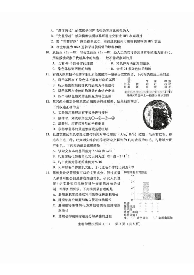 广东省2025年普通高等学校招生全国统一考试模拟测试生物_2024-2026高三（6-6月题库）_2025年04月试卷_0425广东省2025年普通高等学校招生全国统一考试模拟测试（广东二模）（全科）