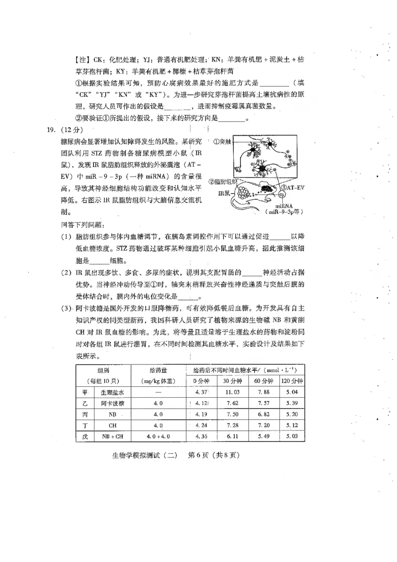 广东省2025年普通高等学校招生全国统一考试模拟测试生物_2024-2026高三（6-6月题库）_2025年04月试卷_0425广东省2025年普通高等学校招生全国统一考试模拟测试（广东二模）（全科）