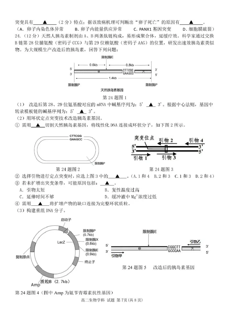 浙江省温州市环大罗山联盟2024-2025学年高二下学期期中考试生物PDF版含答案_2024-2025高二（7-7月题库）_2025年05月试卷_0519浙江省温州市环大罗山联盟2024-2025学年高二下学期期中考试