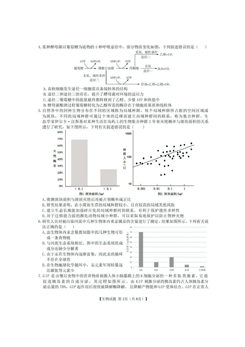 安徽合肥八中2025届高三下学期最后一卷生物试卷（含答案）_2024-2025高三（6-6月题库）_2025年05月试卷_05262025届安徽省合肥市第八中学高三下学期最后一卷（全科）