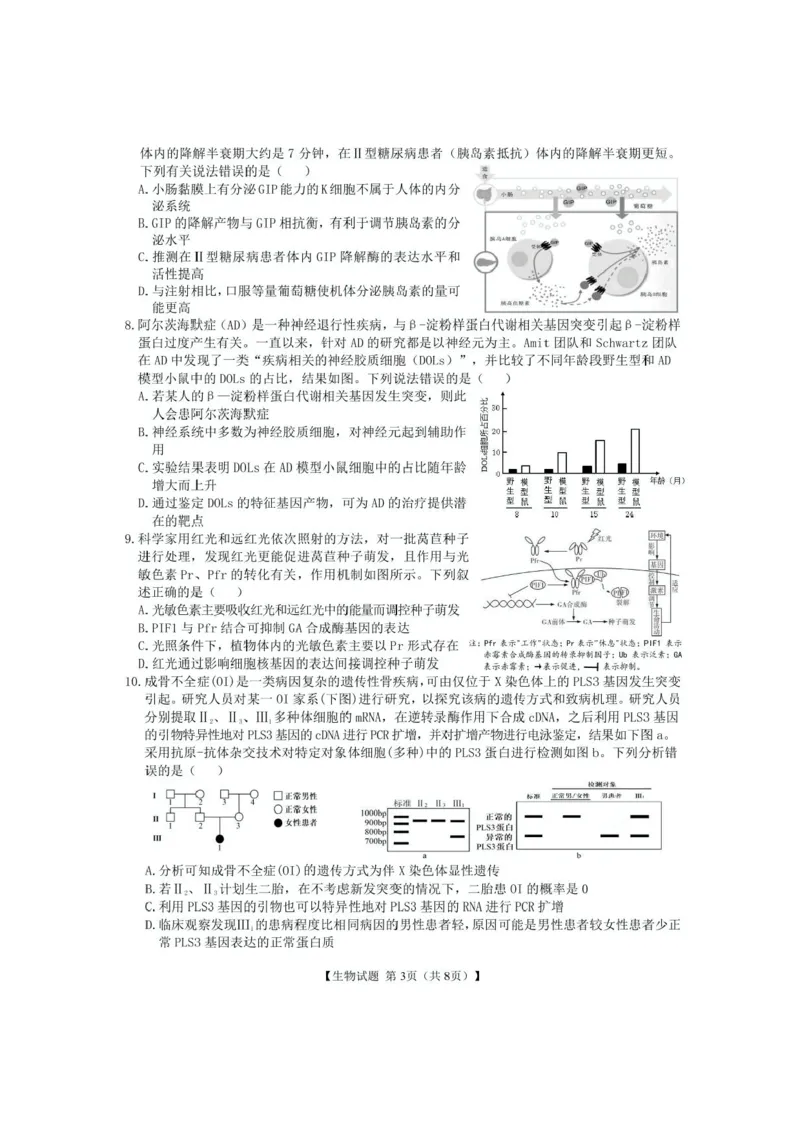 安徽合肥八中2025届高三下学期最后一卷生物试卷（含答案）_2024-2025高三（6-6月题库）_2025年05月试卷_05262025届安徽省合肥市第八中学高三下学期最后一卷（全科）