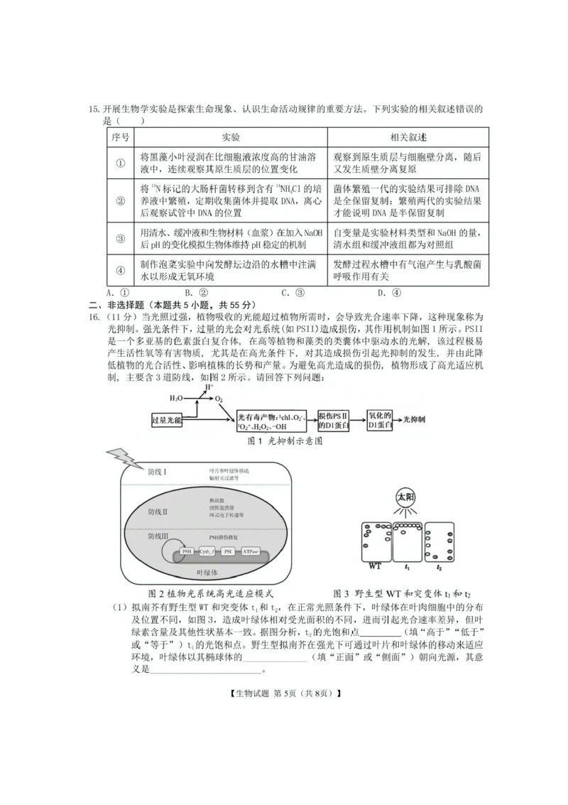 安徽合肥八中2025届高三下学期最后一卷生物试卷（含答案）_2024-2025高三（6-6月题库）_2025年05月试卷_05262025届安徽省合肥市第八中学高三下学期最后一卷（全科）