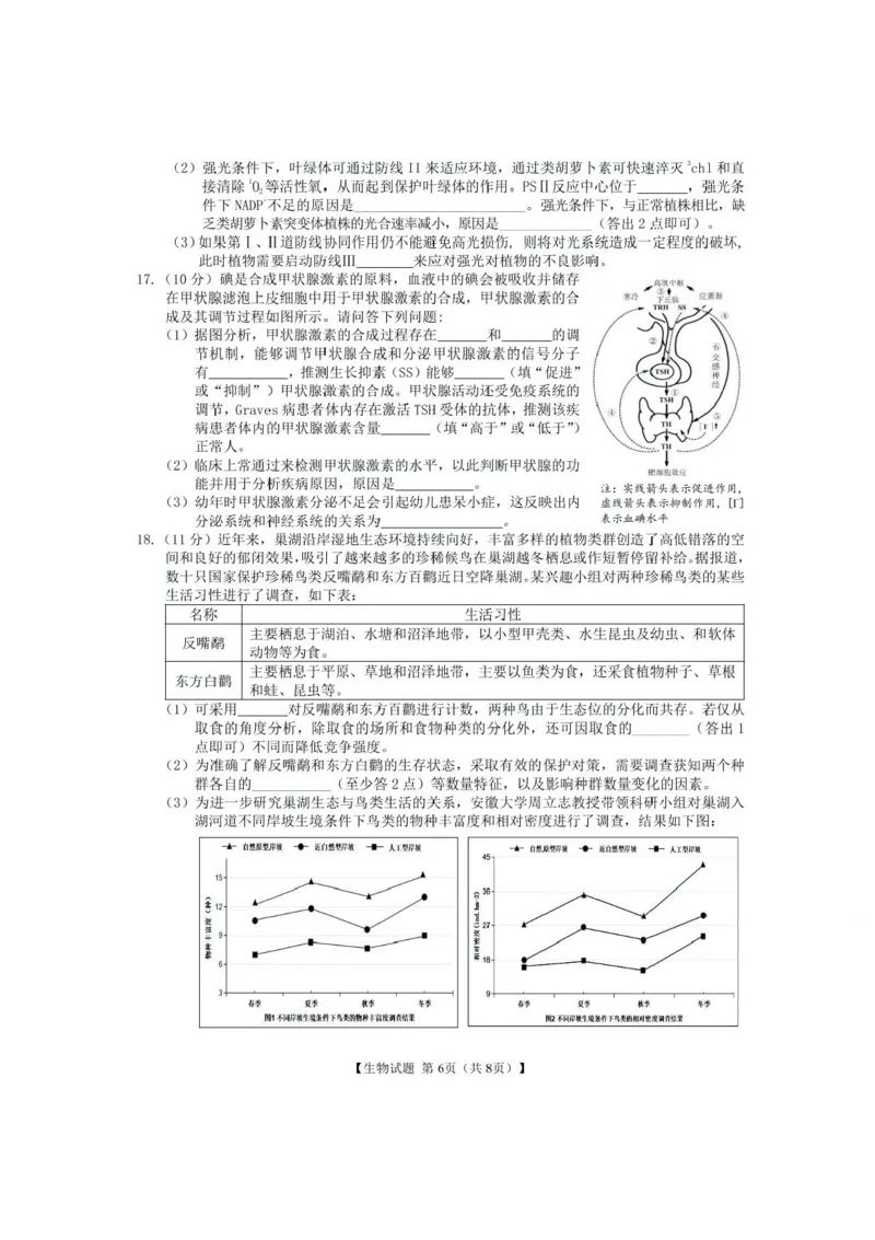 安徽合肥八中2025届高三下学期最后一卷生物试卷（含答案）_2024-2025高三（6-6月题库）_2025年05月试卷_05262025届安徽省合肥市第八中学高三下学期最后一卷（全科）