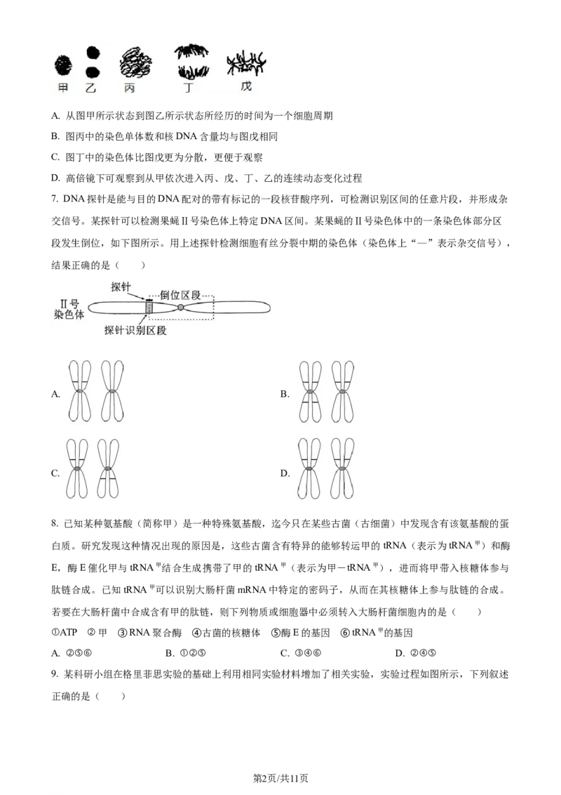 精品解析：浙江省五校联盟2023-2024学年高三下学期3月月考生物试题（原卷版）_2024年3月_013月合集_2024届浙江省五校联盟高三下学期3月联考_浙江省五校联盟2024届高三下学期3月联考生物