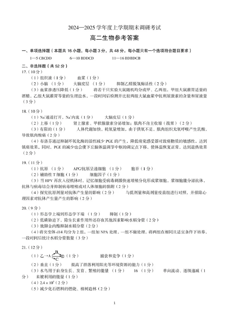 河南省三门峡市2024-2025学年度下学期期末调研考试高二生物试题答案_2024-2025高二（7-7月题库）_2025年01月试卷_0126河南省三门峡市2024-2025学年高二上学期1月期末考试
