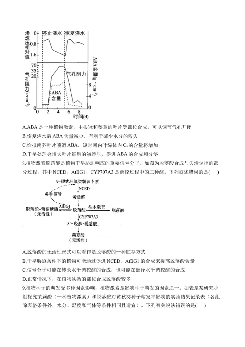 专题10植物生命活动的调节（选择题）&mdash;&mdash;高考生物学模块分练新高考版（含解析）_2024-2025高三（6-6月题库）_2026年1月高三