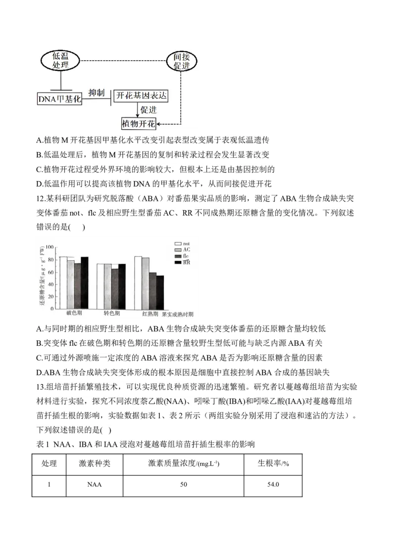 专题10植物生命活动的调节（选择题）&mdash;&mdash;高考生物学模块分练新高考版（含解析）_2024-2025高三（6-6月题库）_2026年1月高三