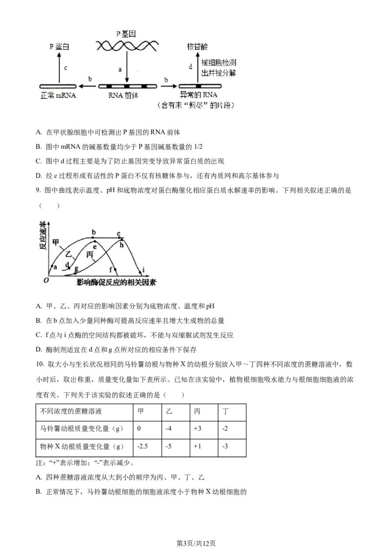 精品解析：辽宁省实验中学2023-2024学年高三上学期期中生物试题（原卷版）(1)_2023年11月_0211月合集_2024届辽宁省实验中学高三上学期期中考试