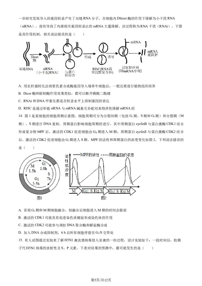 精品解析：辽宁省实验中学2023-2024学年高三上学期期中生物试题（原卷版）(1)_2023年11月_0211月合集_2024届辽宁省实验中学高三上学期期中考试