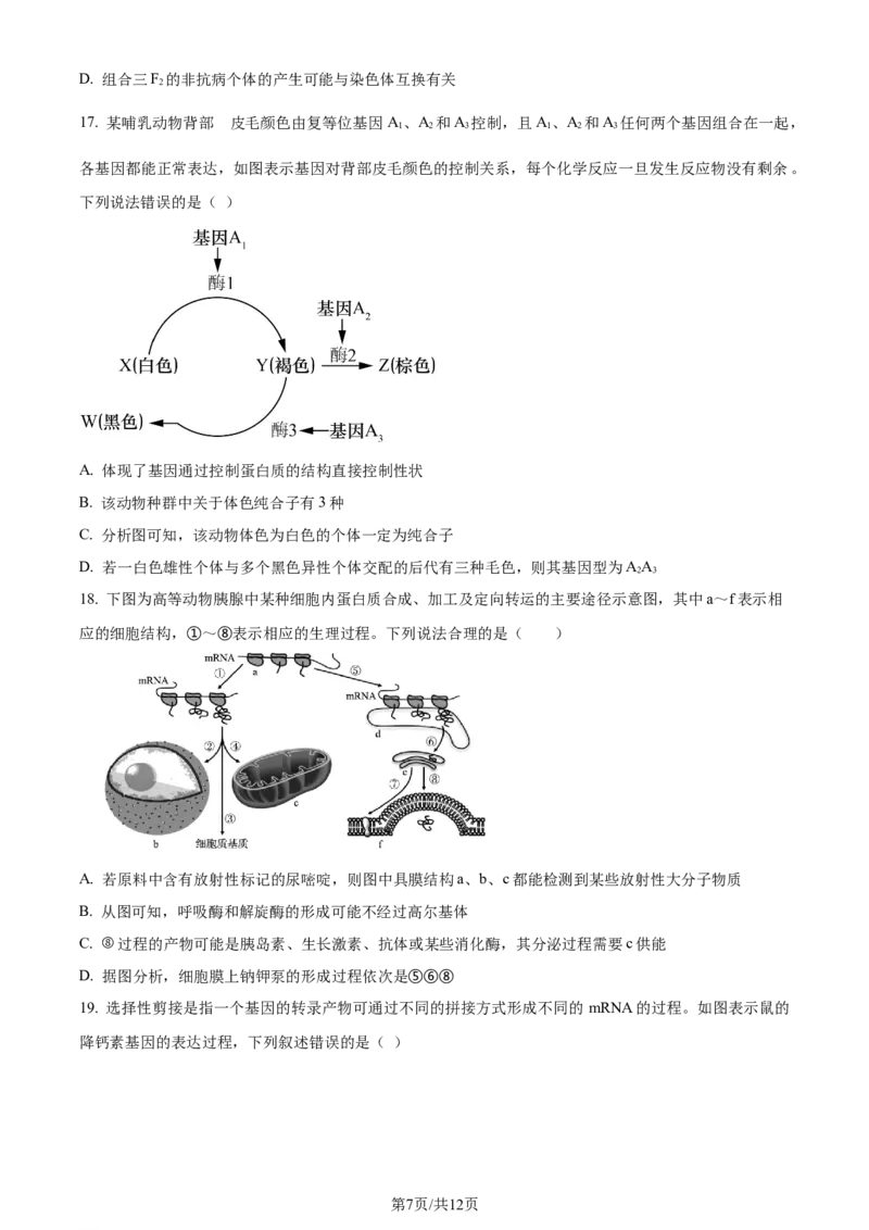 精品解析：辽宁省实验中学2023-2024学年高三上学期期中生物试题（原卷版）(1)_2023年11月_0211月合集_2024届辽宁省实验中学高三上学期期中考试