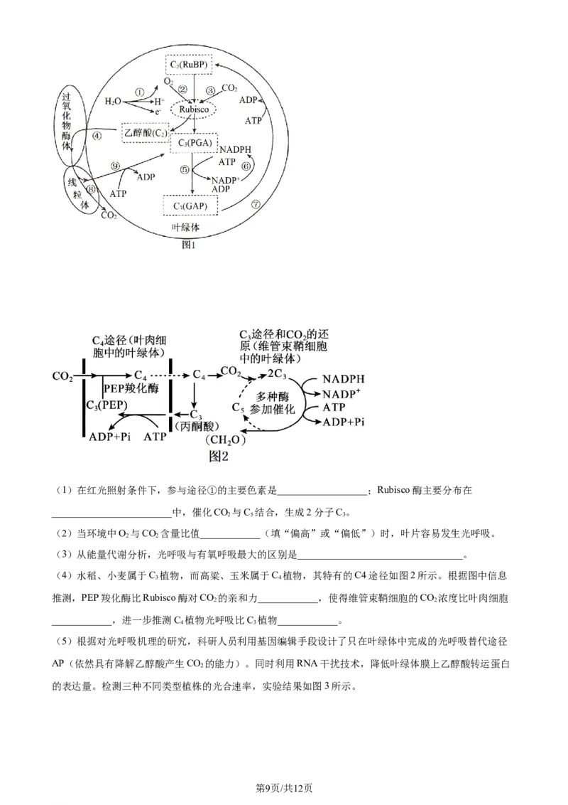 精品解析：辽宁省实验中学2023-2024学年高三上学期期中生物试题（原卷版）(1)_2023年11月_0211月合集_2024届辽宁省实验中学高三上学期期中考试