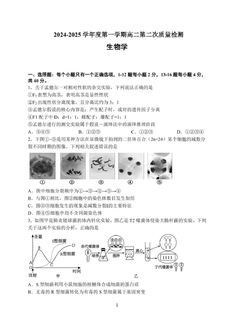 月考22026届高二上月考2_2024-2025高二（7-7月题库）_2024年12月试卷_1211广东省江门市新会第一中学2024-2025学年高二上学期12月第二次质量检测