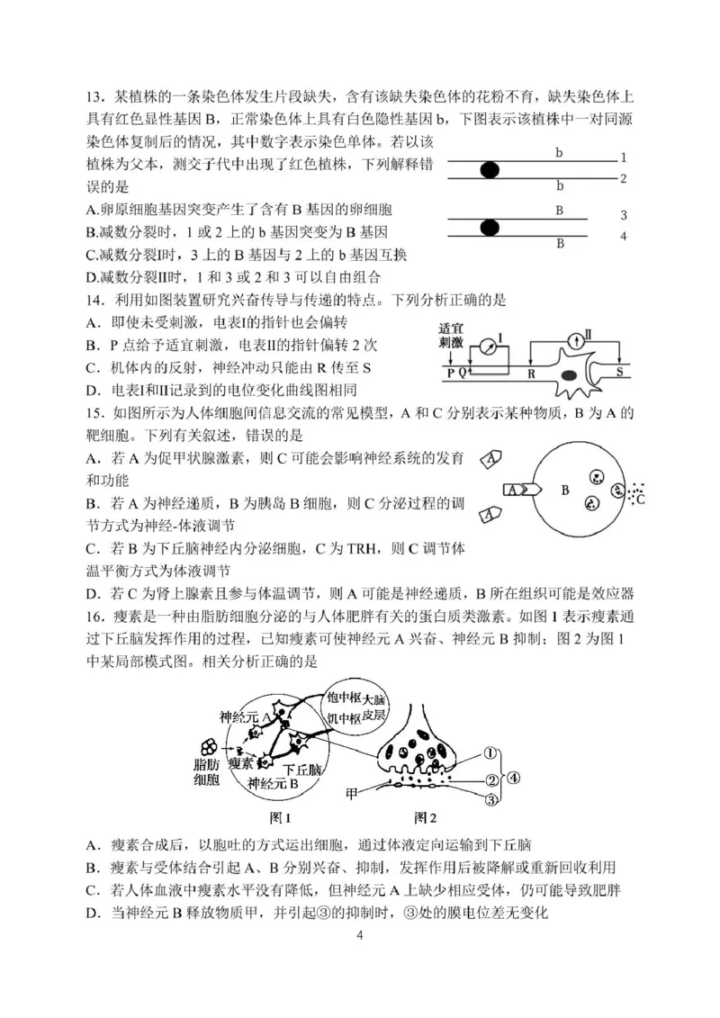 月考22026届高二上月考2_2024-2025高二（7-7月题库）_2024年12月试卷_1211广东省江门市新会第一中学2024-2025学年高二上学期12月第二次质量检测