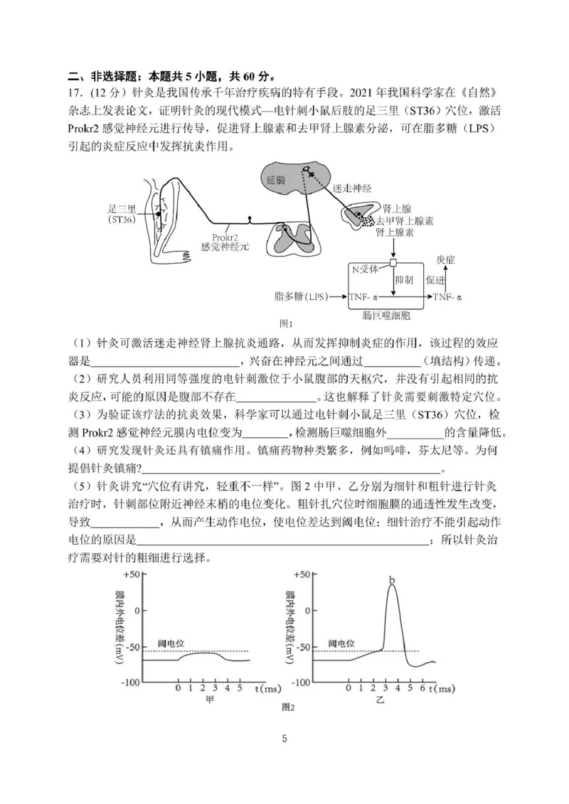 月考22026届高二上月考2_2024-2025高二（7-7月题库）_2024年12月试卷_1211广东省江门市新会第一中学2024-2025学年高二上学期12月第二次质量检测