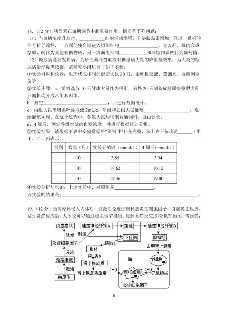 月考22026届高二上月考2_2024-2025高二（7-7月题库）_2024年12月试卷_1211广东省江门市新会第一中学2024-2025学年高二上学期12月第二次质量检测