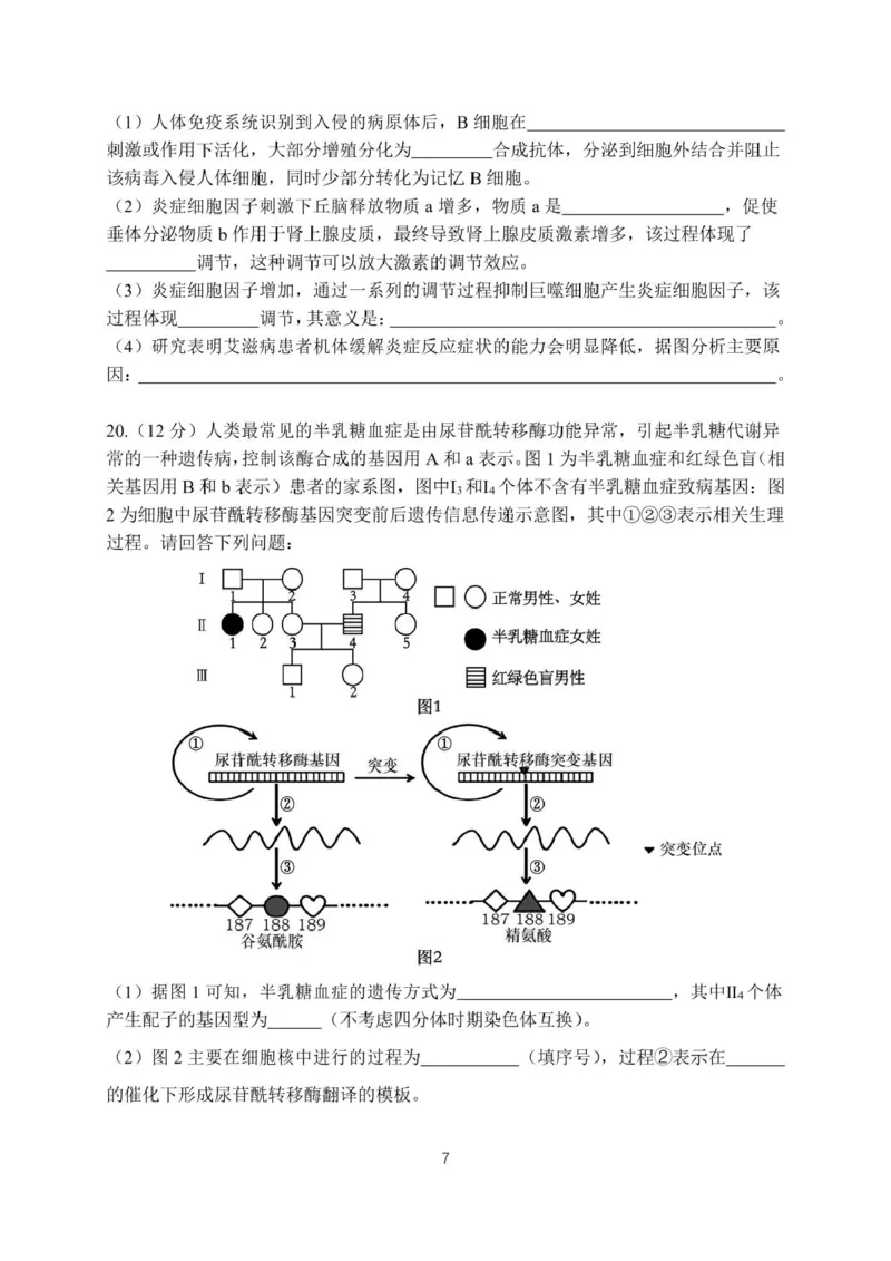 月考22026届高二上月考2_2024-2025高二（7-7月题库）_2024年12月试卷_1211广东省江门市新会第一中学2024-2025学年高二上学期12月第二次质量检测