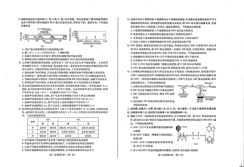 山东省烟台市2023-2024学年高三上学期期中考试生物试题(1)_2023年11月_0211月合集_2024届山东省烟台市高三上学期期中考试_山东省烟台市2024届高三上学期期中考试生物