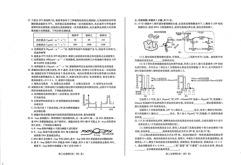 山东省烟台市2023-2024学年高三上学期期中考试生物试题(1)_2023年11月_0211月合集_2024届山东省烟台市高三上学期期中考试_山东省烟台市2024届高三上学期期中考试生物