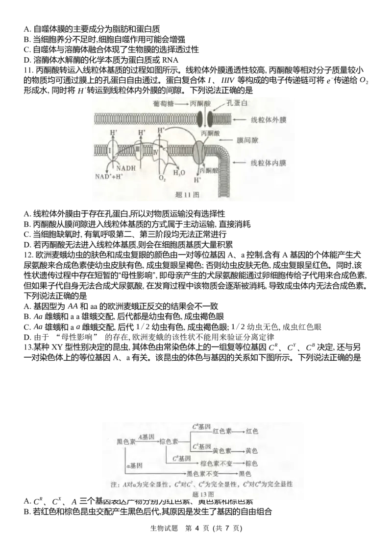 重庆市南开中学高2024届高三第三次质量检测生物试题_2023年11月_01每日更新_05号_2024届重庆市南开中学高三第三次质量检测_重庆市南开中学高2024届高三第三次质量检测生物