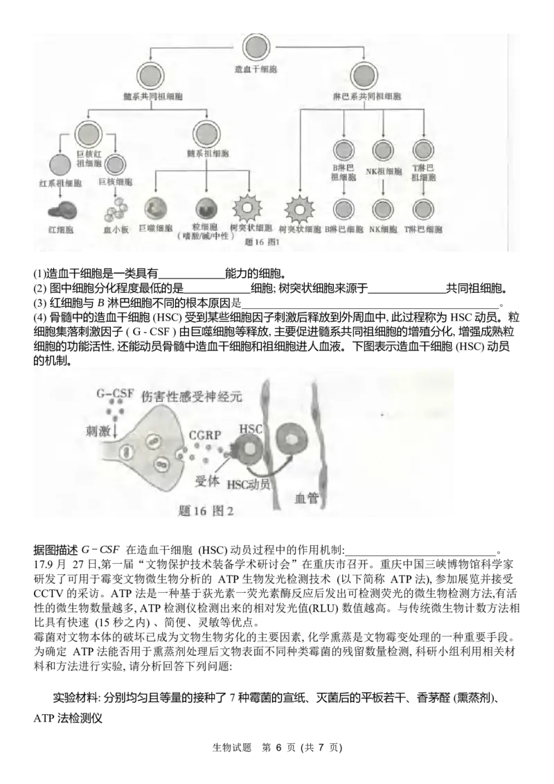 重庆市南开中学高2024届高三第三次质量检测生物试题_2023年11月_01每日更新_05号_2024届重庆市南开中学高三第三次质量检测_重庆市南开中学高2024届高三第三次质量检测生物