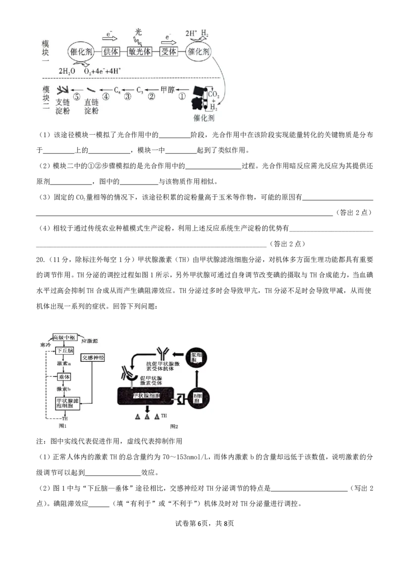 邯郸市2024届高三年级保温试题-生物_2024年5月_01按日期_23号_2024届河北省邯郸市高三下学期5月保温试题_2024届河北省邯郸市高三下学期5月保温试题生物试卷