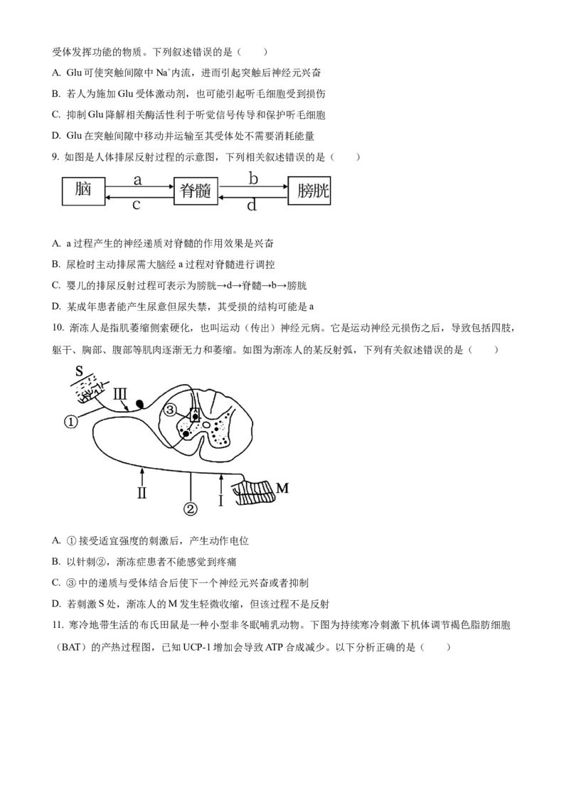 江西省景德镇市2024-2025学年高二上学期11月期中生物试题Word版无答案_2024-2025高二（7-7月题库）_2024年11月试卷_1127江西省景德镇市2024-2025学年高二上学期11月期中考试