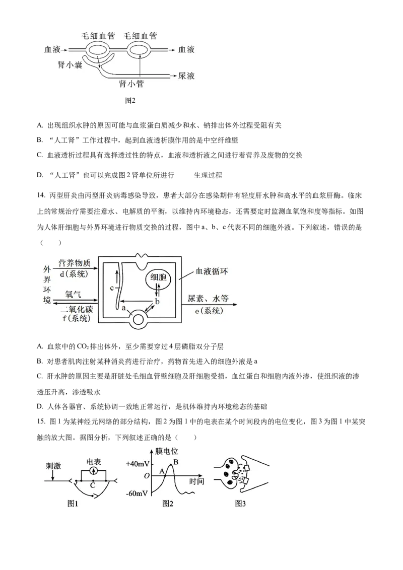 江西省景德镇市2024-2025学年高二上学期11月期中生物试题Word版无答案_2024-2025高二（7-7月题库）_2024年11月试卷_1127江西省景德镇市2024-2025学年高二上学期11月期中考试