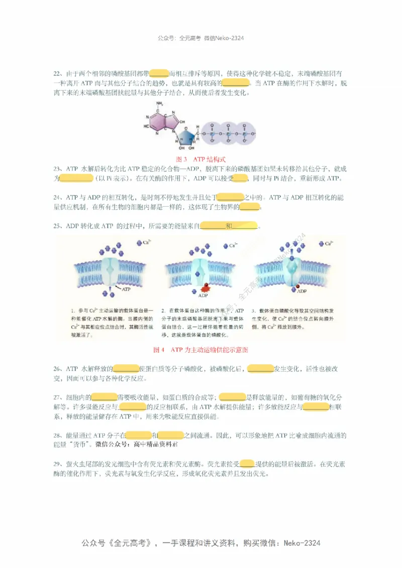 李林暑假班背诵作业（填空版）@_2024-2025高三（6-6月题库）_2024年09月试卷_李林