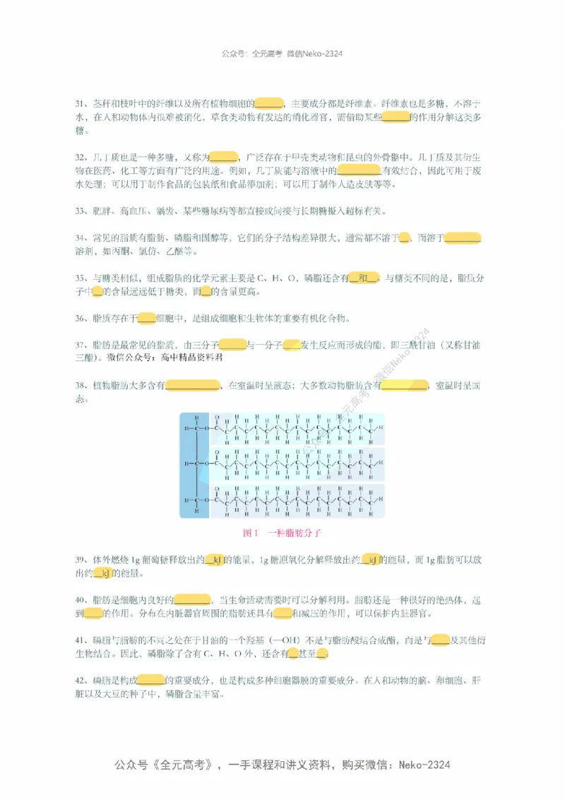 李林暑假班背诵作业（填空版）@_2024-2025高三（6-6月题库）_2024年09月试卷_李林