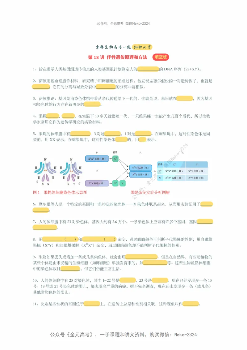 李林暑假班背诵作业（填空版）@_2024-2025高三（6-6月题库）_2024年09月试卷_李林