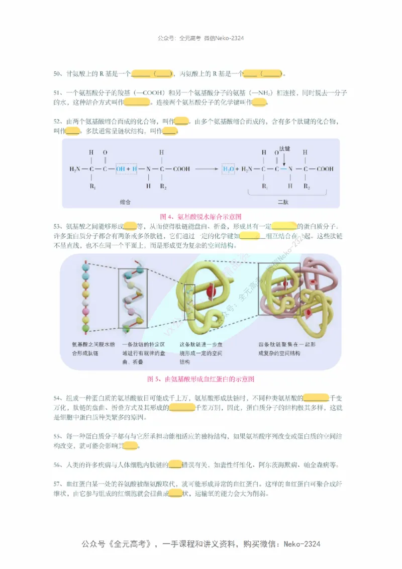 李林暑假班背诵作业（填空版）@_2024-2025高三（6-6月题库）_2024年09月试卷_李林