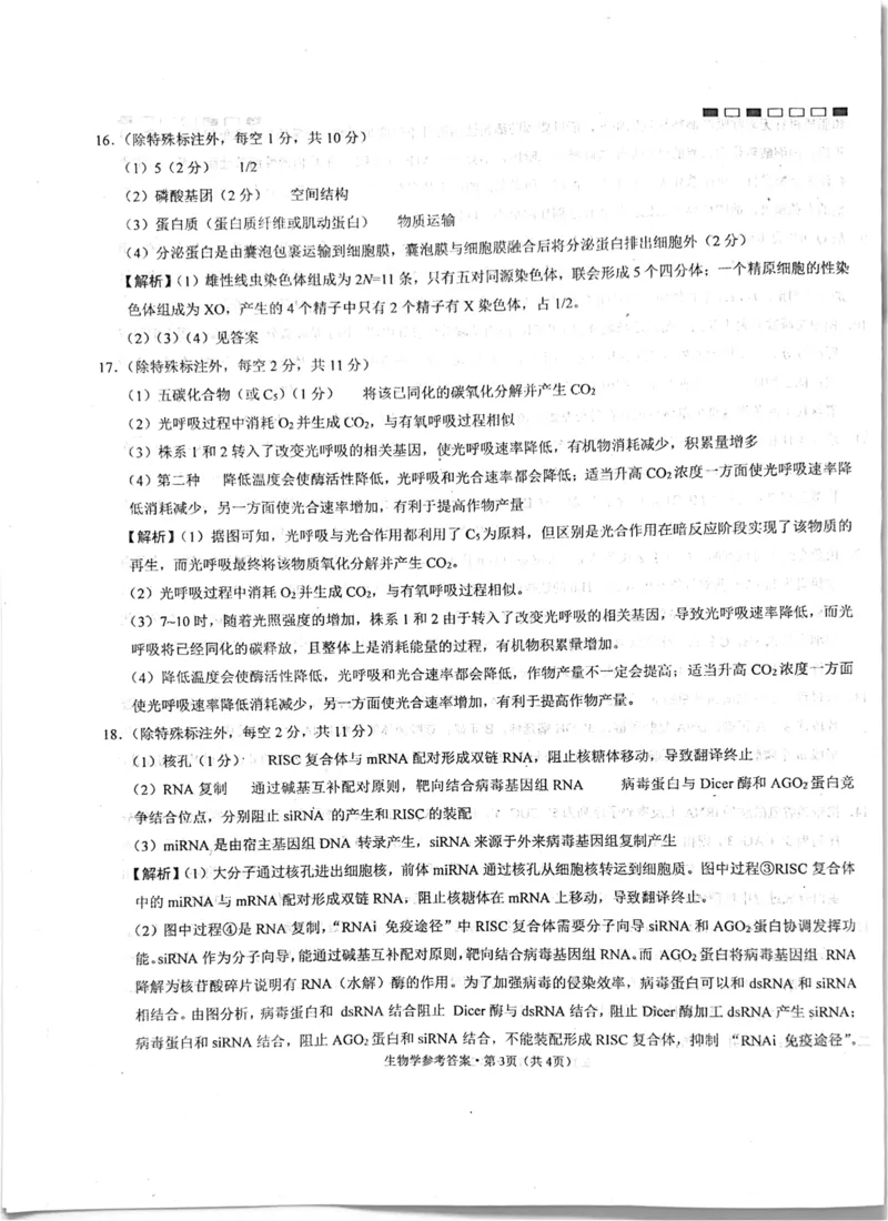 四川省绵阳中学2024-2025学年高三上学期高考适应性月考卷+(一)+生物试题_2024-2025高三（6-6月题库）_2024年11月试卷_11012025届四川省绵阳中学高三模拟预测高考适应性月考卷（一）