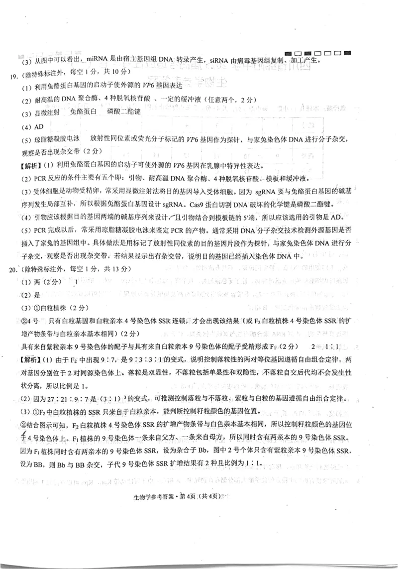 四川省绵阳中学2024-2025学年高三上学期高考适应性月考卷+(一)+生物试题_2024-2025高三（6-6月题库）_2024年11月试卷_11012025届四川省绵阳中学高三模拟预测高考适应性月考卷（一）