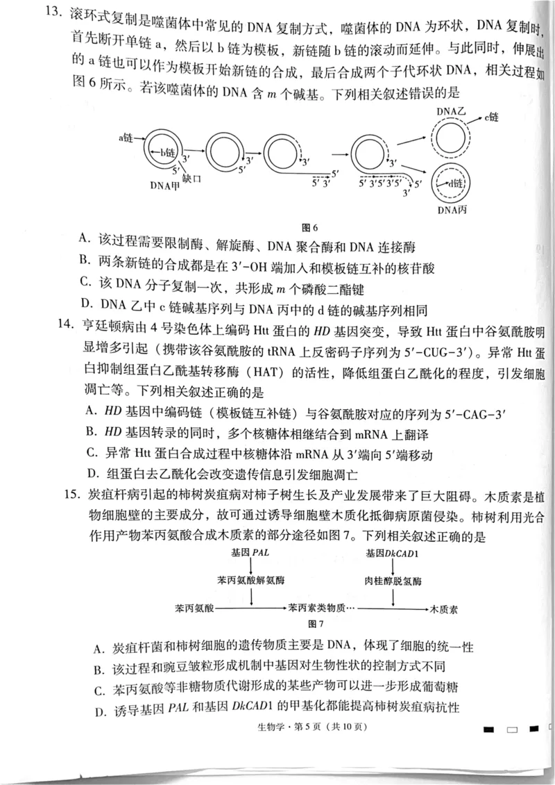 四川省绵阳中学2024-2025学年高三上学期高考适应性月考卷+(一)+生物试题_2024-2025高三（6-6月题库）_2024年11月试卷_11012025届四川省绵阳中学高三模拟预测高考适应性月考卷（一）